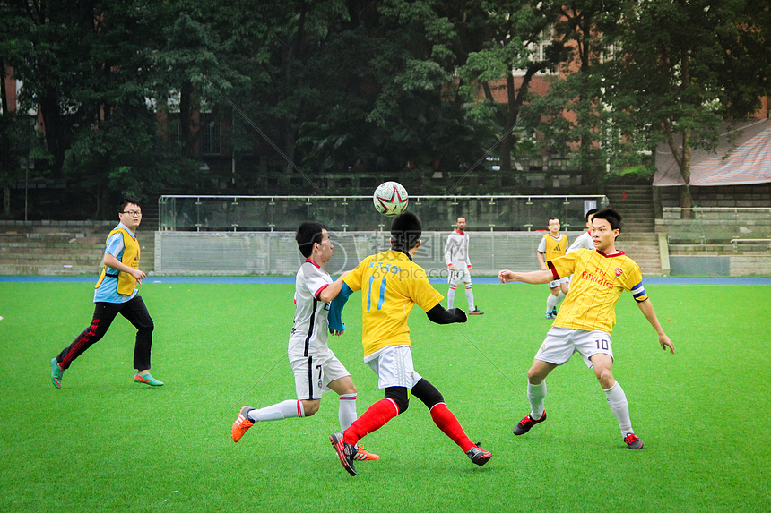 提醒灰熊 提醒灰熊