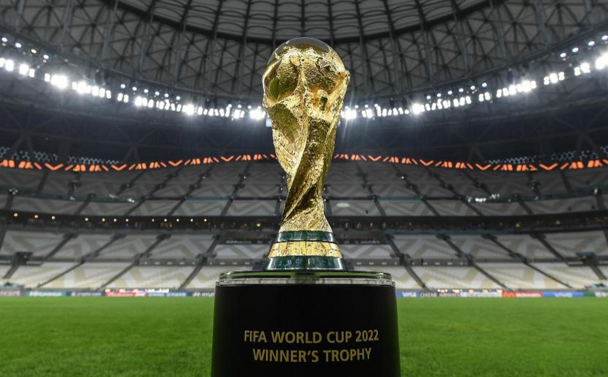 在世界泳坛 在世界泳坛