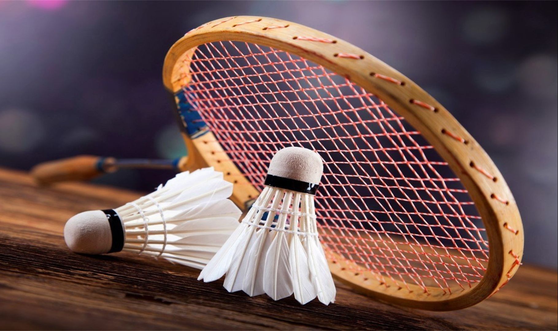 尊重与支持 尊重与支持